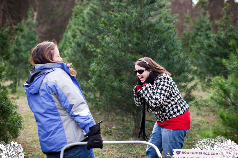 christmas tree Root Photography Blog Weddings engagements portraits