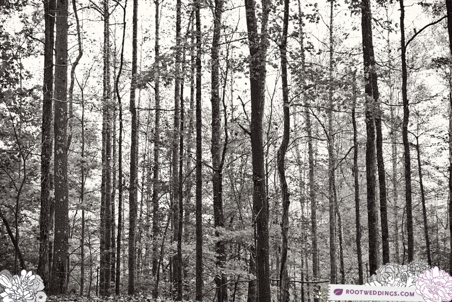 0135_RootWeddings