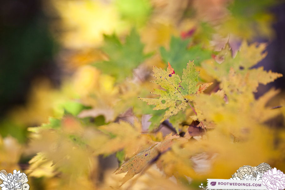 0136_RootWeddings