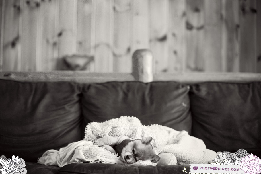 1369_RootWeddings