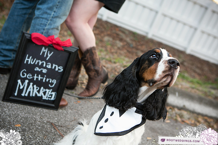 Highland Manor Engagement Session in Apopka, Florida